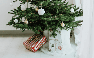 7 pravidiel, ako sa správne starať o živý vianočný stromček