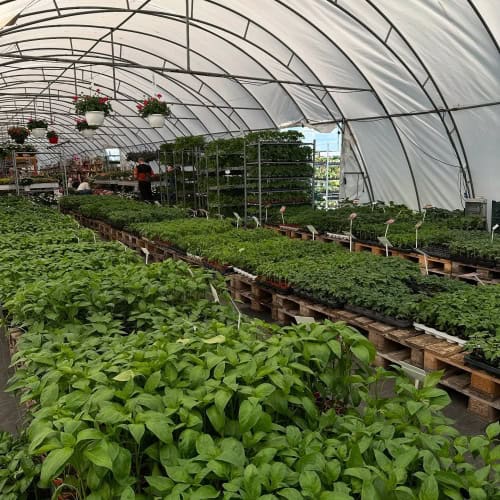 491419108_18370958029130914_5696712790646518767_n_zmensena