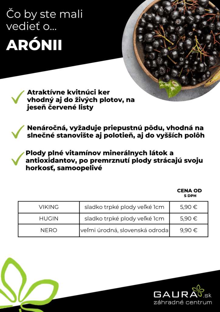 Drobné ovocie v GAURE! 15 - Gaura Zahradné centrum Trečín 14 - Gaura Zahradné centrum Trečín