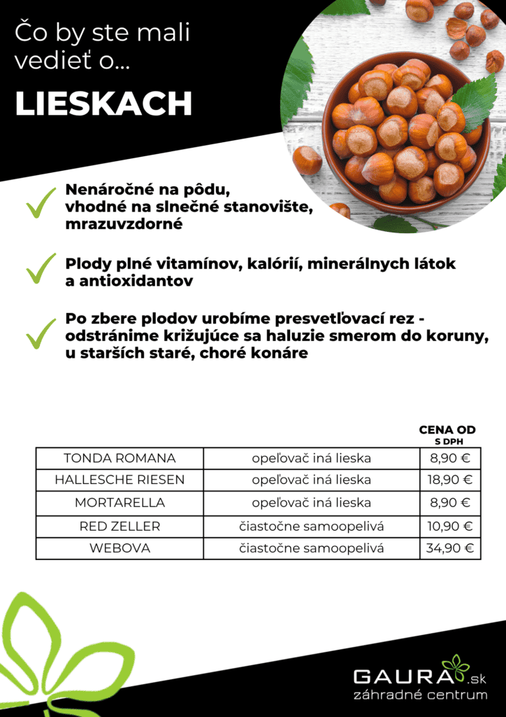 Drobné ovocie v GAURE! 18 - Gaura Zahradné centrum Trečín 17 - Gaura Zahradné centrum Trečín