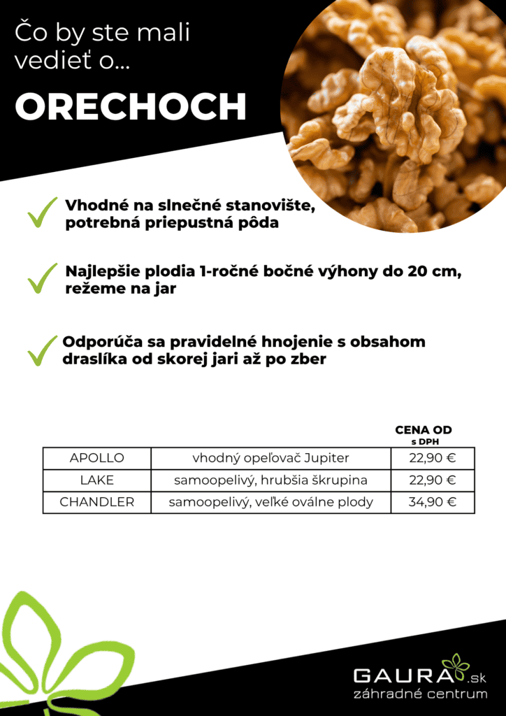 Drobné ovocie v GAURE! 22 - Gaura Zahradné centrum Trečín 21 - Gaura Zahradné centrum Trečín