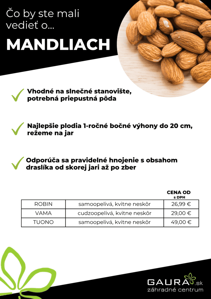 Drobné ovocie v GAURE! 23 - Gaura Zahradné centrum Trečín 22 - Gaura Zahradné centrum Trečín