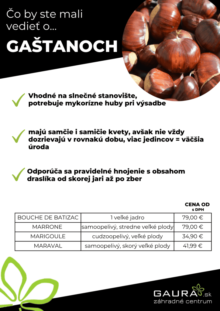 Drobné ovocie v GAURE! 25 - Gaura Zahradné centrum Trečín 24 - Gaura Zahradné centrum Trečín