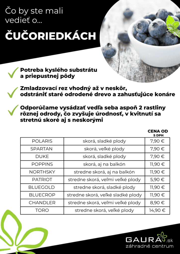 Drobné ovocie v GAURE! 6 - Gaura Zahradné centrum Trečín 5 - Gaura Zahradné centrum Trečín