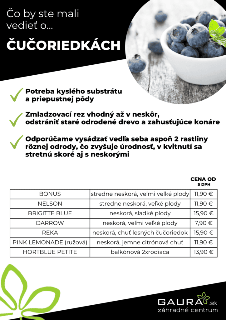 Drobné ovocie v GAURE! 7 - Gaura Zahradné centrum Trečín 6 - Gaura Zahradné centrum Trečín