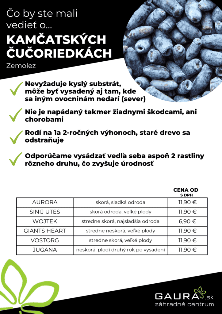 Drobné ovocie v GAURE! 8 - Gaura Zahradné centrum Trečín 7 - Gaura Zahradné centrum Trečín