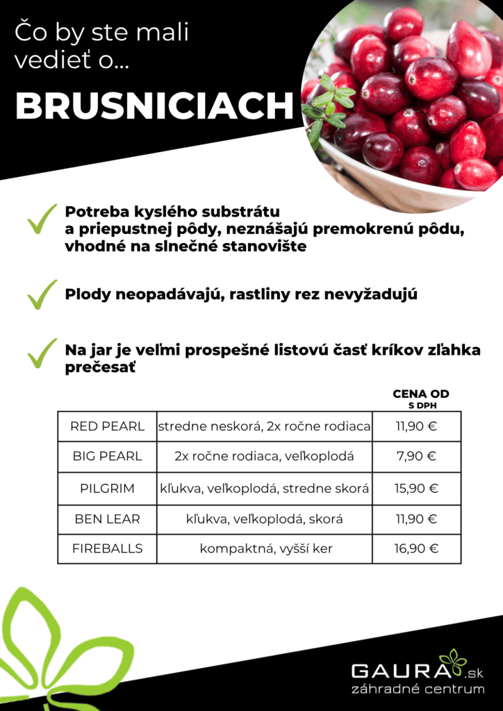 Drobné ovocie v GAURE! 9 - Gaura Zahradné centrum Trečín 8 - Gaura Zahradné centrum Trečín