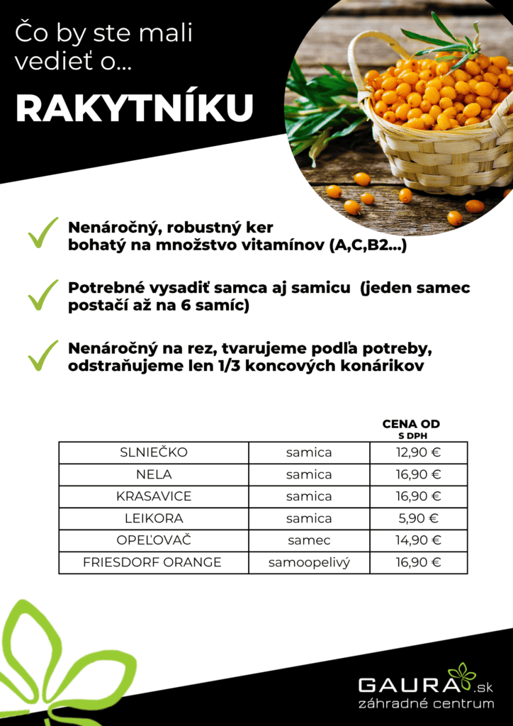 Drobné ovocie v GAURE! 10 - Gaura Zahradné centrum Trečín 9 - Gaura Zahradné centrum Trečín