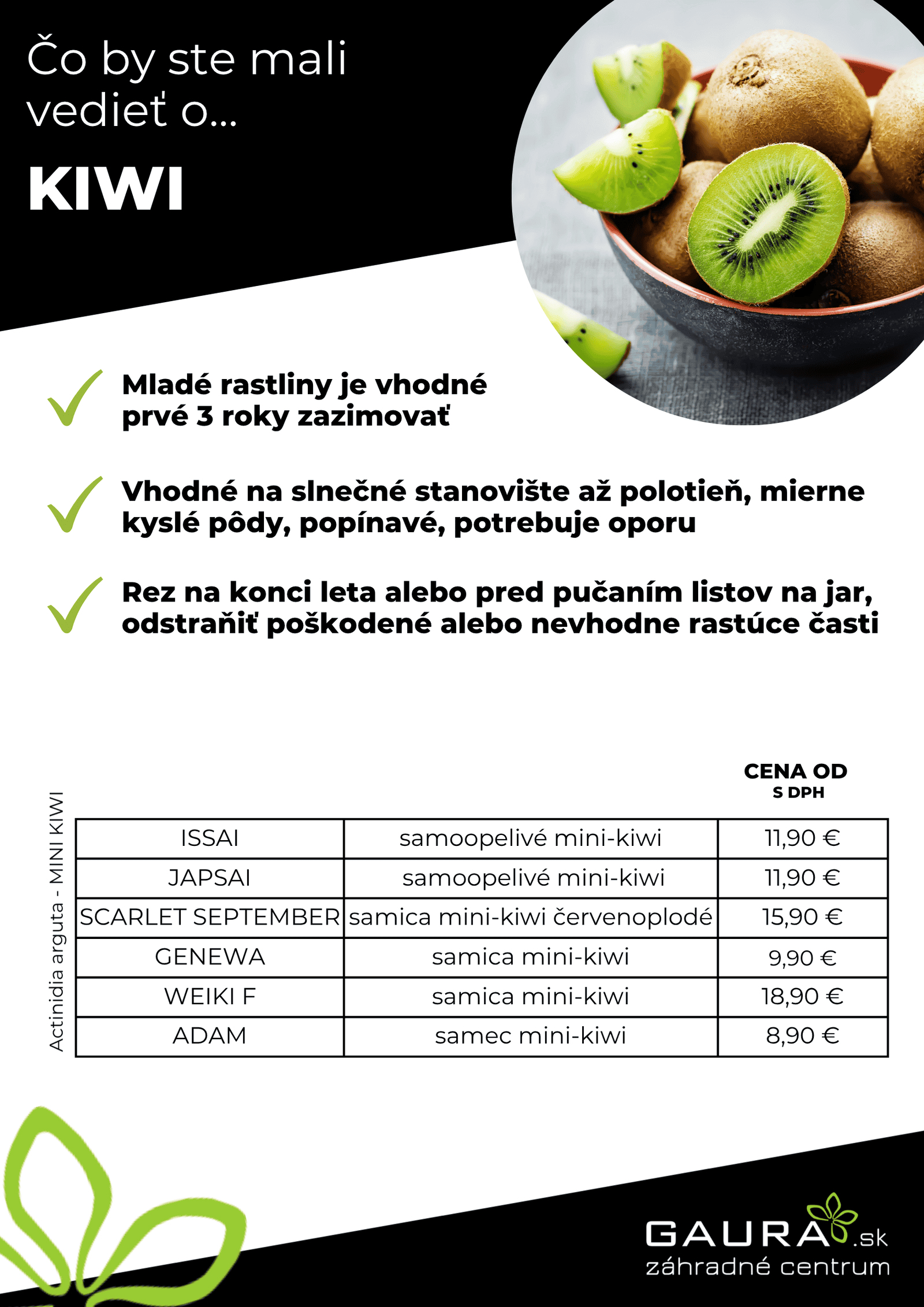 Drobné ovocie v GAURE! 13 - Gaura Zahradné centrum Trečín 12 - Gaura Zahradné centrum Trečín