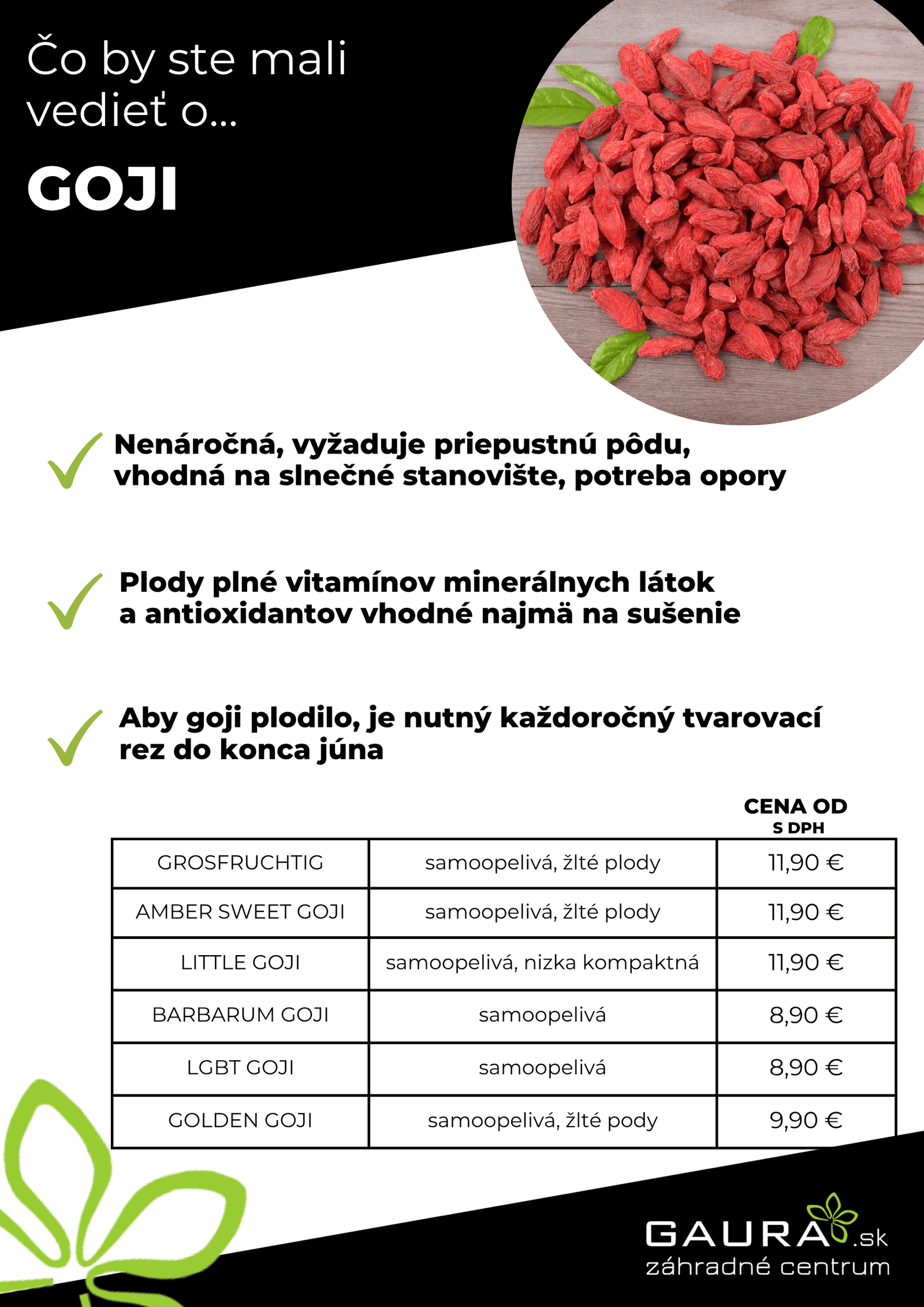 Drobné ovocie v GAURE! 16 - Gaura Zahradné centrum Trečín 15 - Gaura Zahradné centrum Trečín