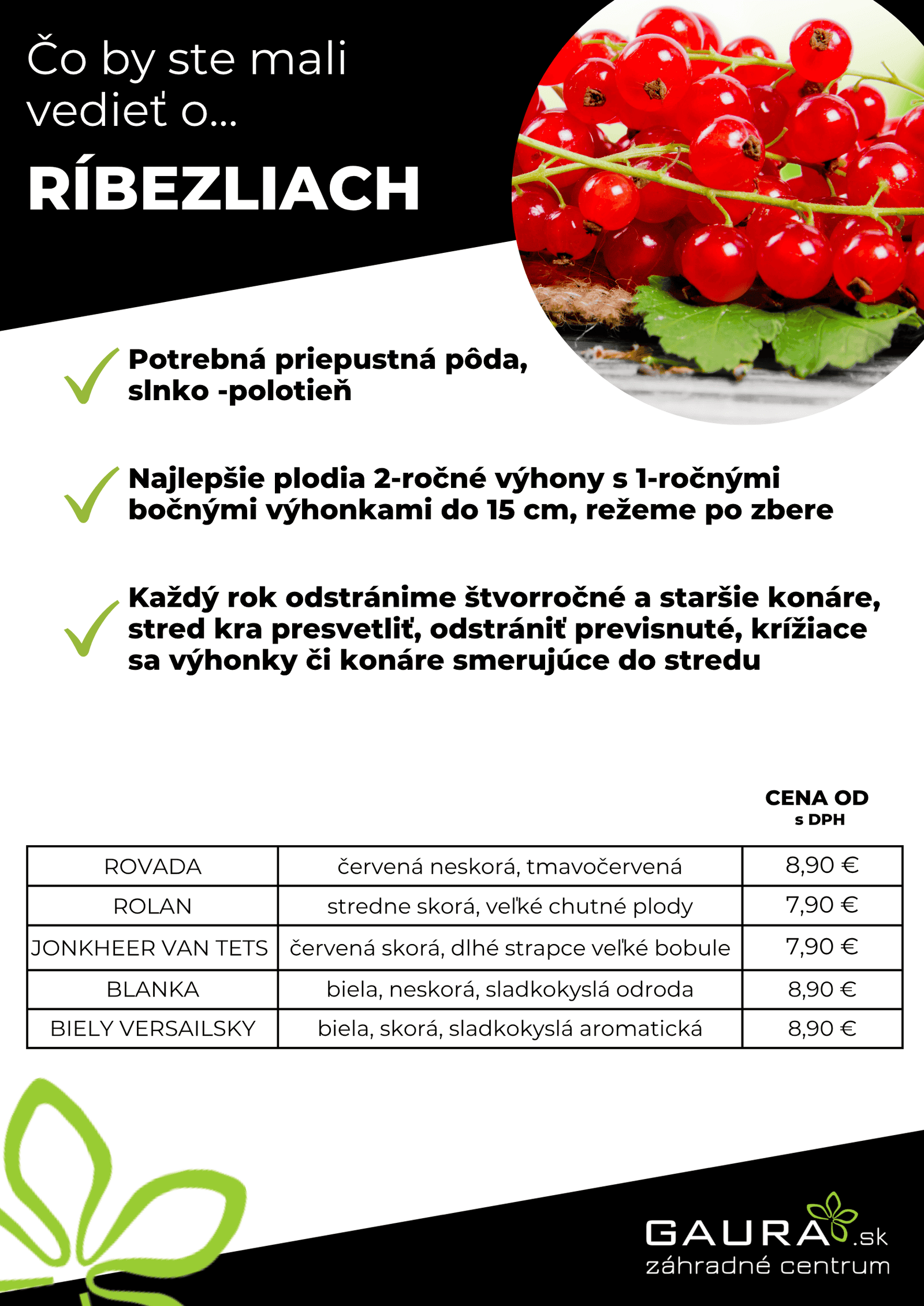Drobné ovocie v GAURE! 19 - Gaura Zahradné centrum Trečín 18 - Gaura Zahradné centrum Trečín