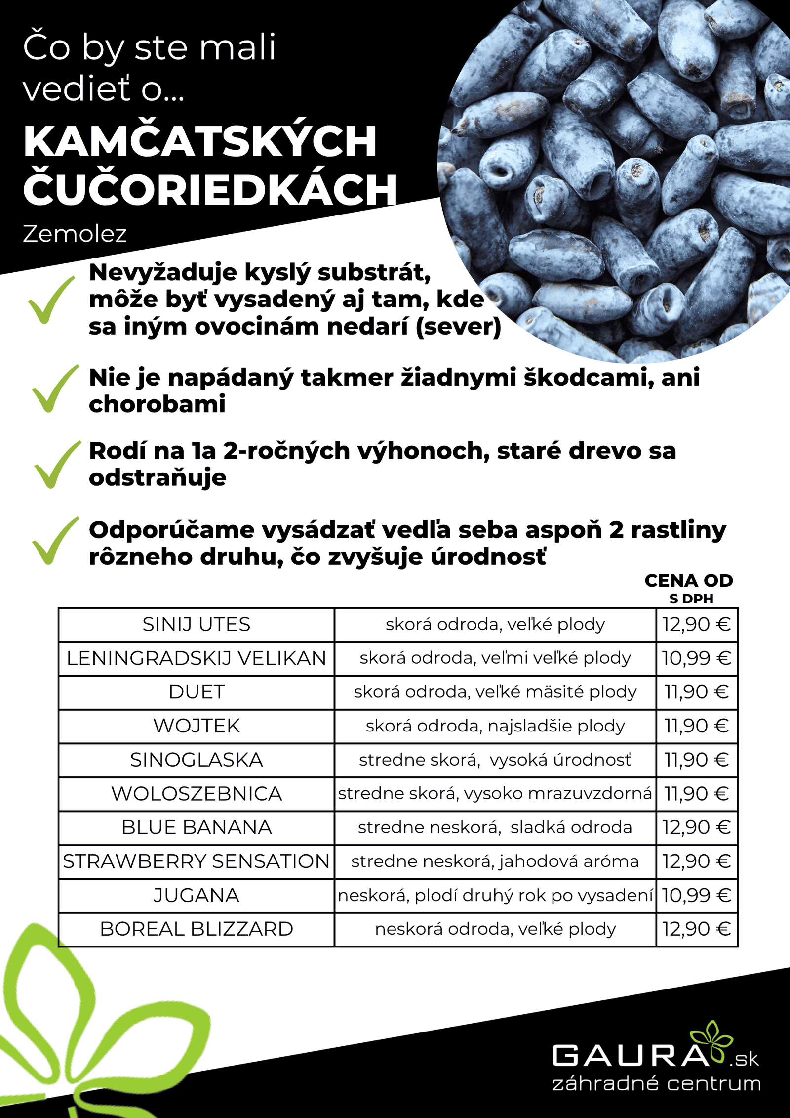 Drobné ovocie v GAURE! 8 - Gaura Zahradné centrum Trečín 7 - Gaura Zahradné centrum Trečín